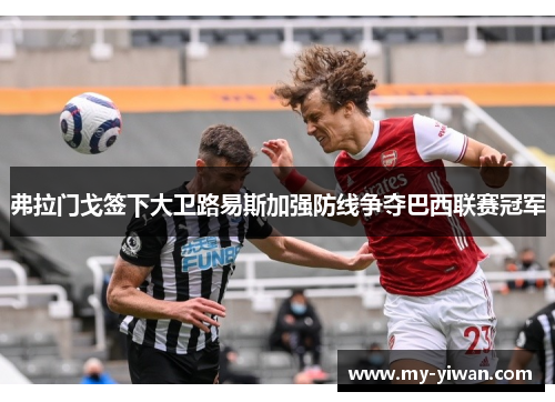 弗拉门戈签下大卫路易斯加强防线争夺巴西联赛冠军