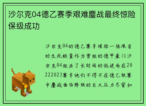 沙尔克04德乙赛季艰难鏖战最终惊险保级成功